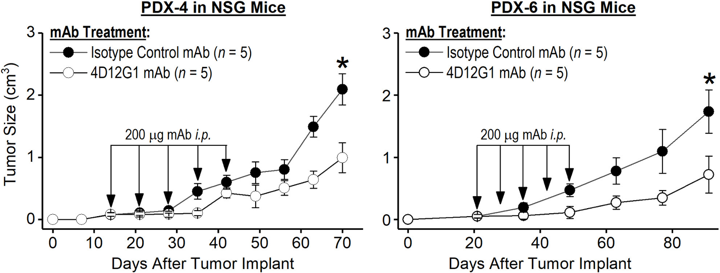 FIGURE 1. The 4D12G1 mAb Inhibits Growth of Human EOCs In Vivo.