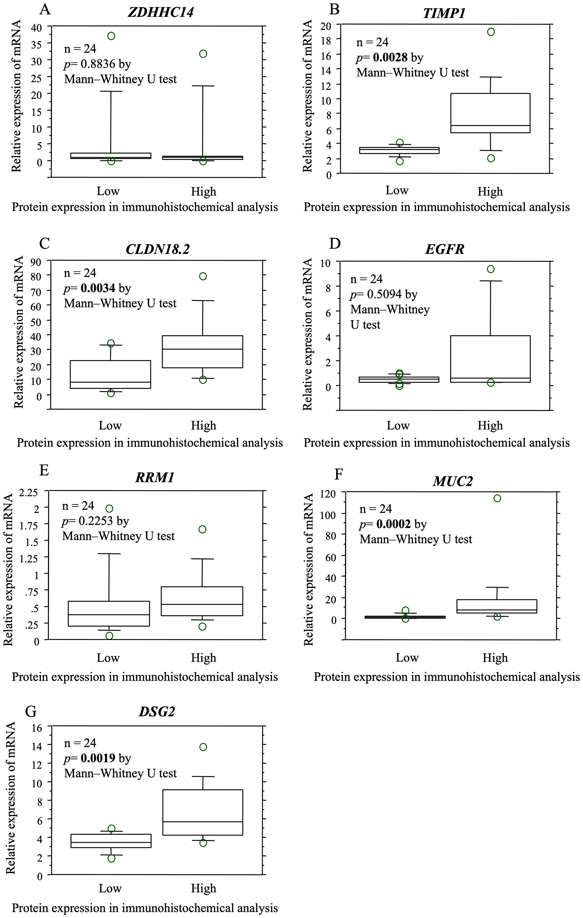 Figure 3: The relationship between protein and gene expression determined by immunohistochemical and mRNA expression analysis in the same specimens.