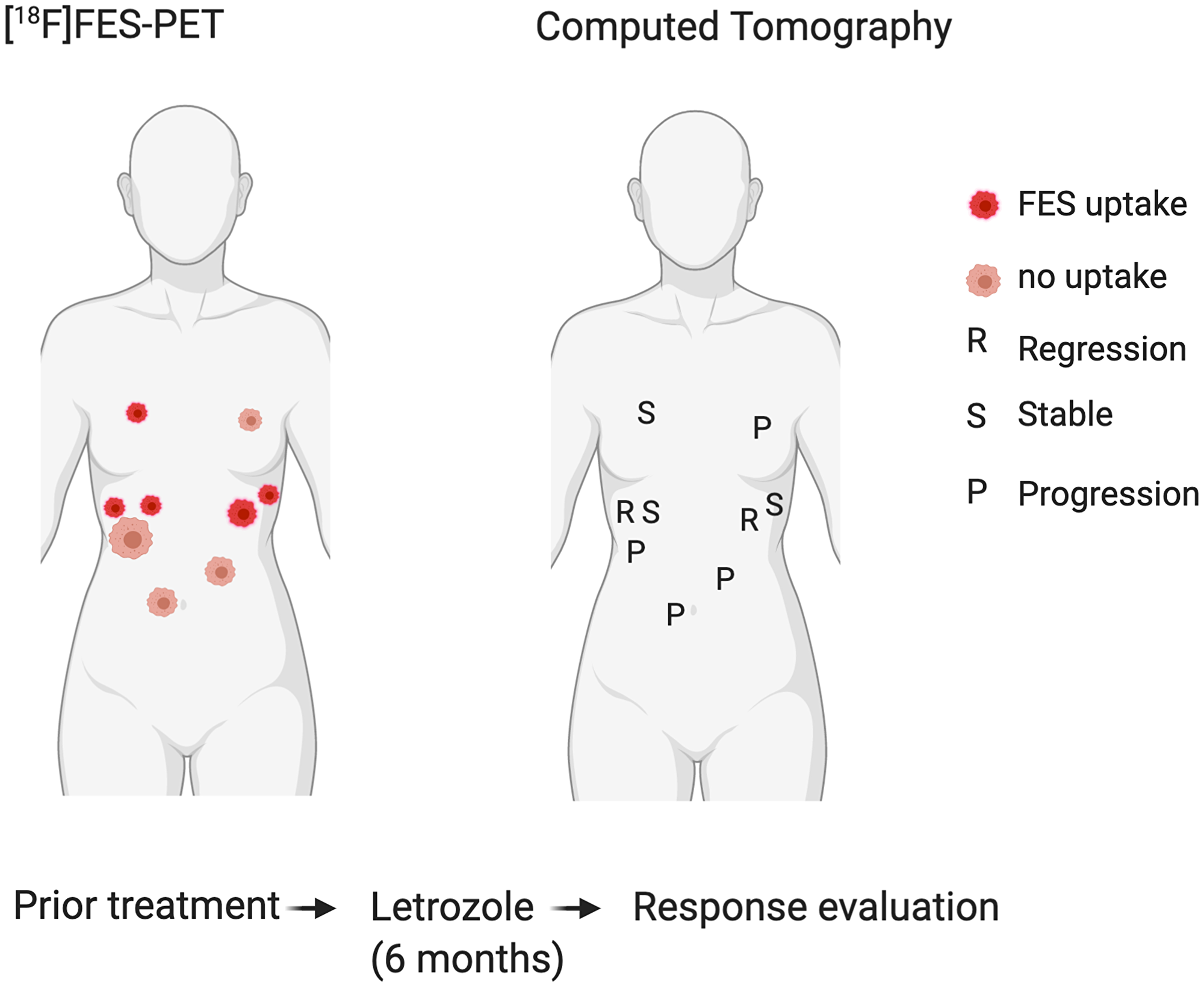 Figure 3: Correlation of FES positive and negative tumour locations (left) with response to hormone treatment (right).