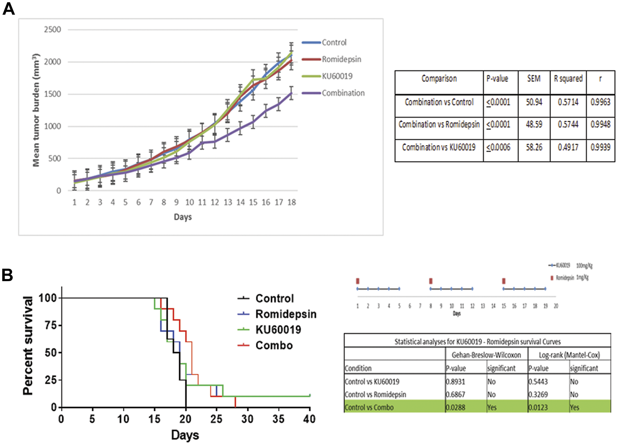 Figure 7: The combination of romidepsin and KU60019 is synergistic in a xenograft model of MCL.