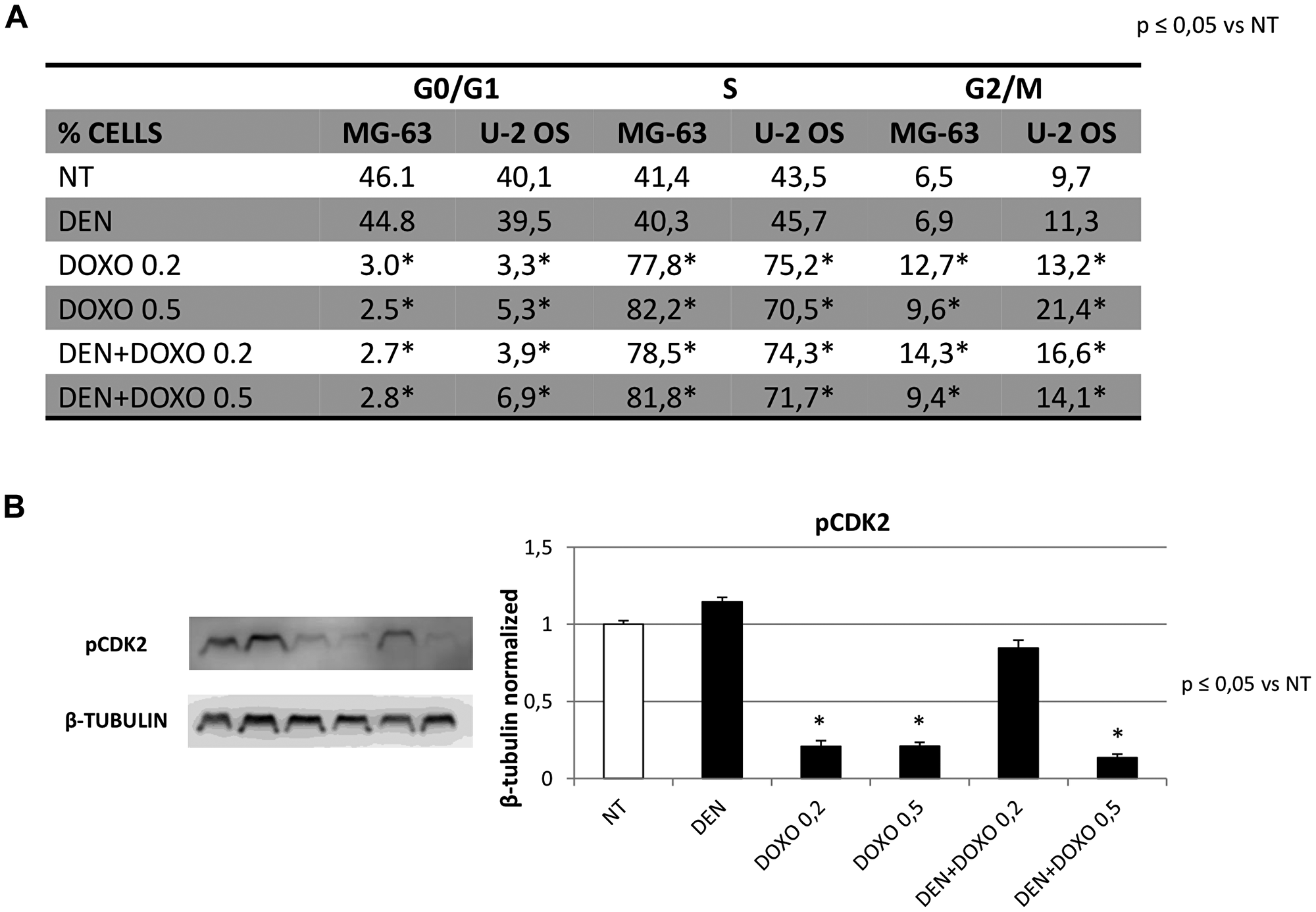 Figure 6: Cell Cycle progression in OS Cell lines before and after treatment with Den and Doxo by cytofluorimetric assay and Western Blotting (pCDK2).