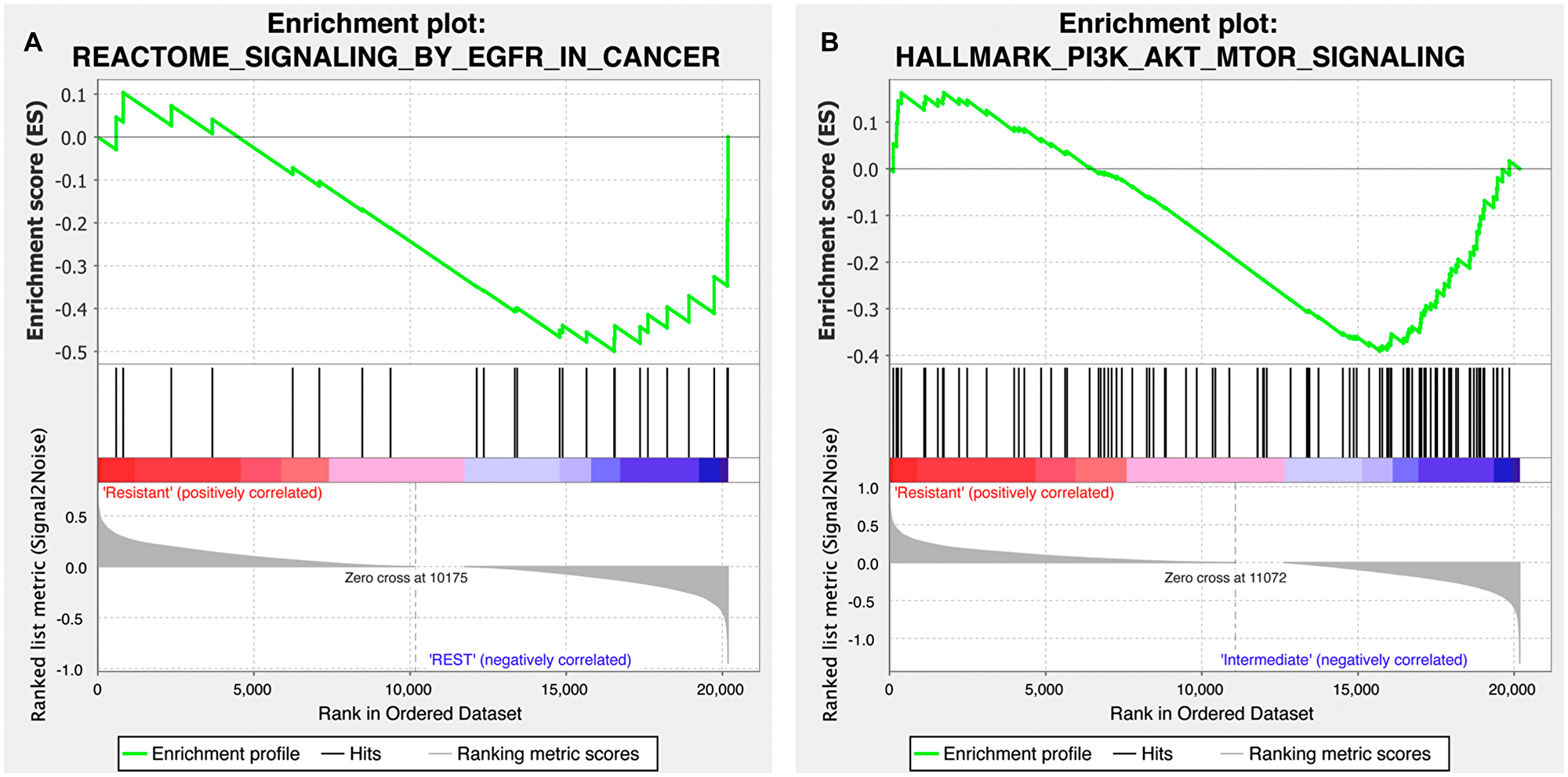 Figure 4: Gene set enrichment plot of the EGFR and PI3K-AKT-mTOR signaling pathways for the copanlisib and cetuximab cohorts.