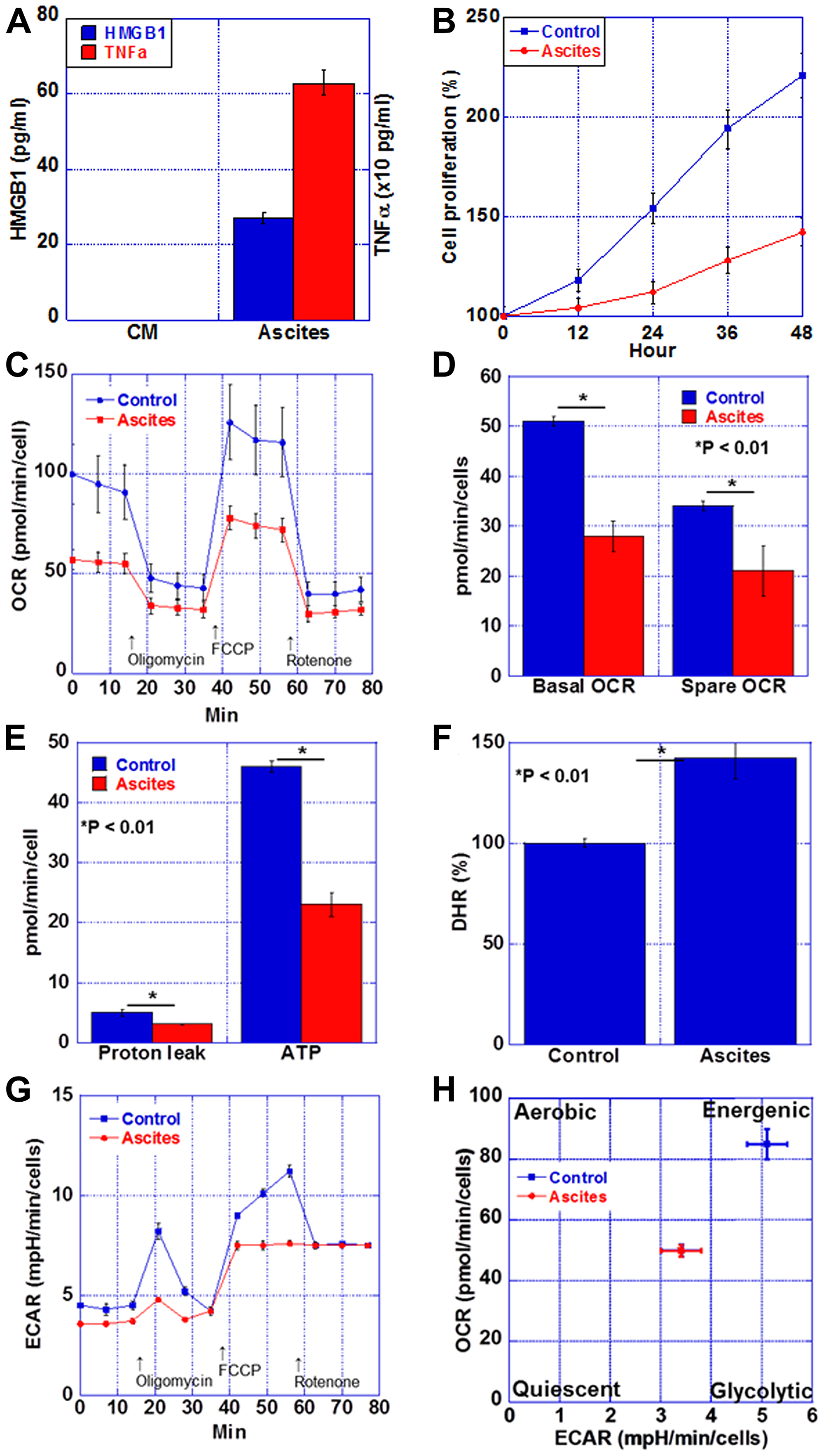 Figure 5: Energy metabolism in the myocardium of CT26-inoculated BALB/c mice.