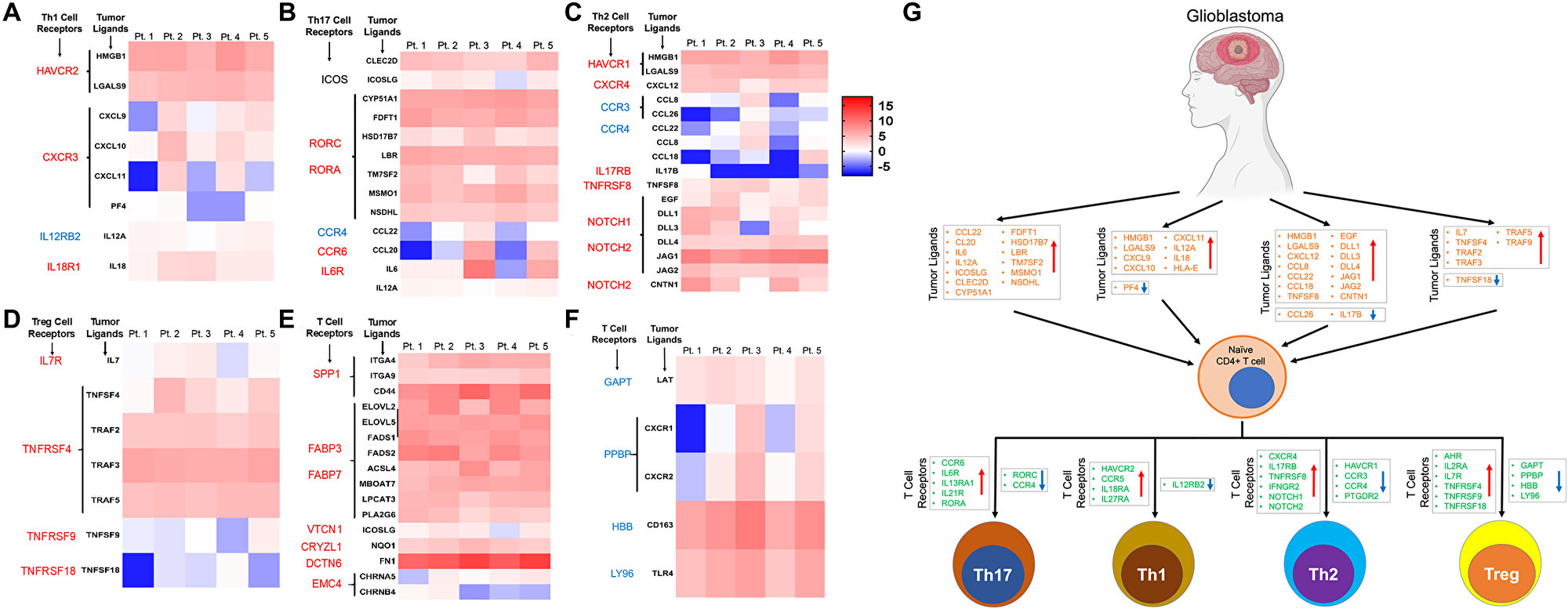 Figure 5: Expression pattern of ligands of corresponding receptors specific for CD4+ T cell lineages in GBM tumor tissue.