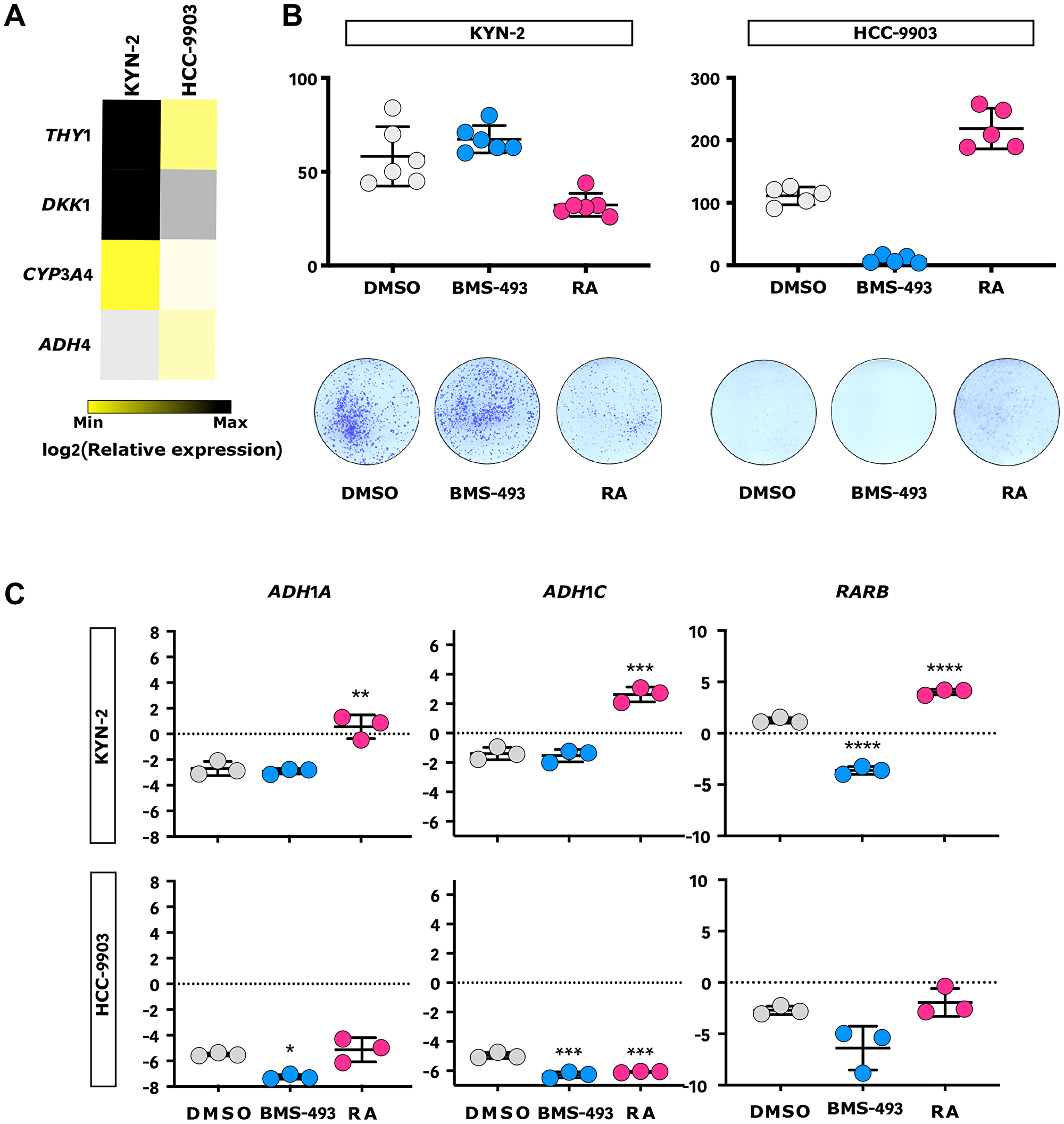 Figure 6: RA inhibits progenitor-like liver cancer cell growth  in vitro.