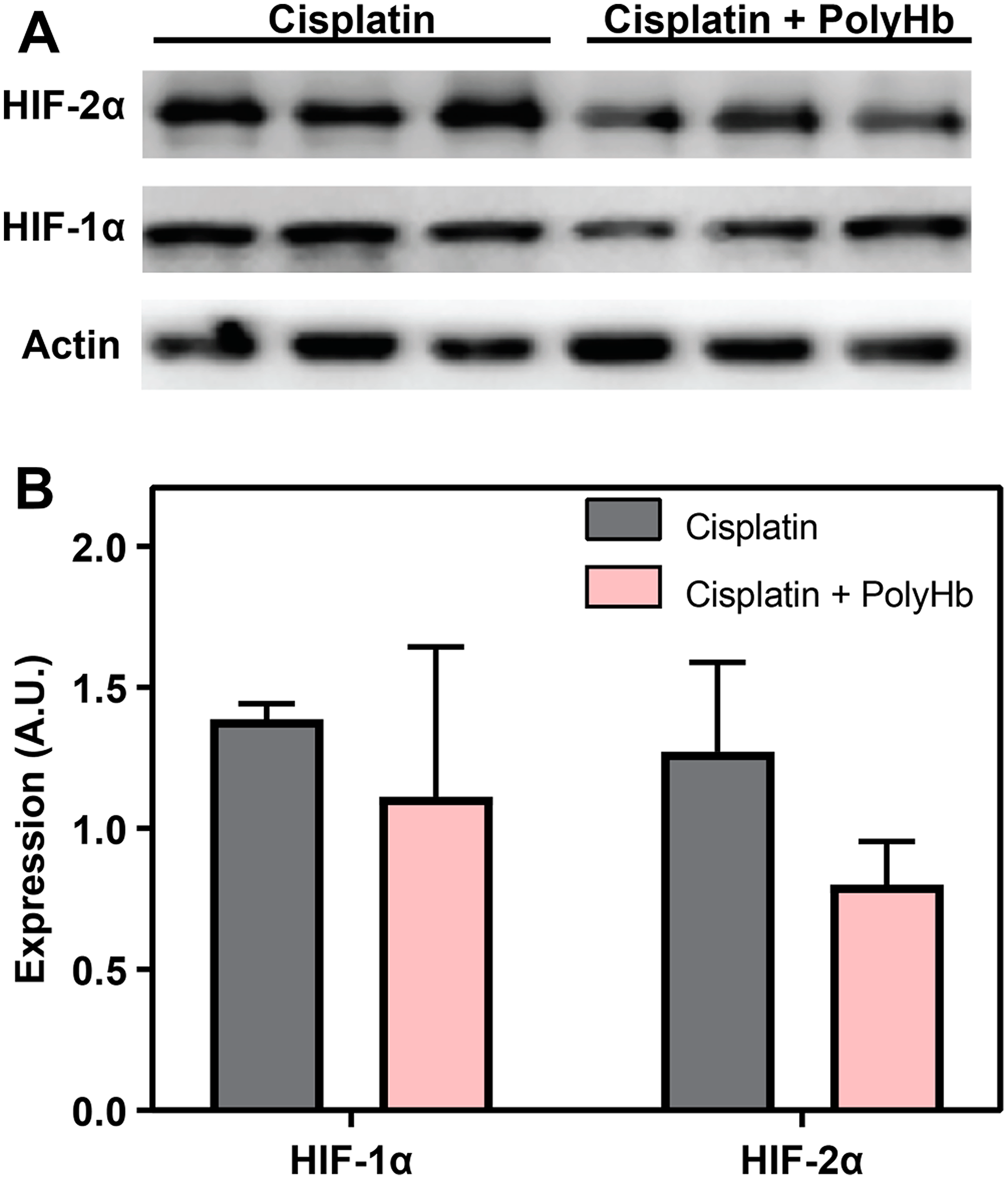 Figure 5: