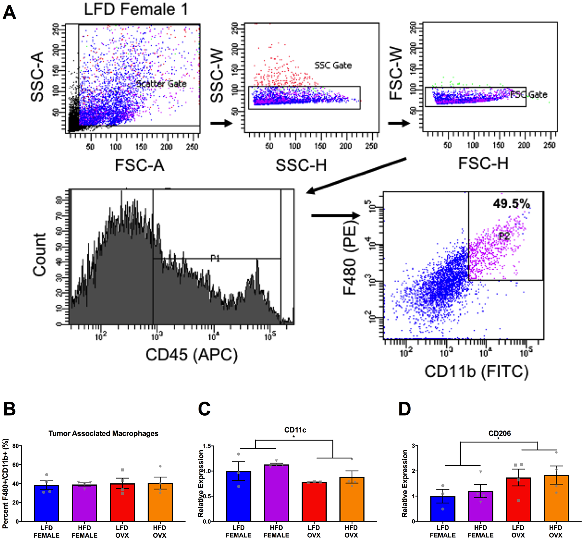 Figure 6: Differential tumor-associated macrophage phenotype in female and OVX mice.