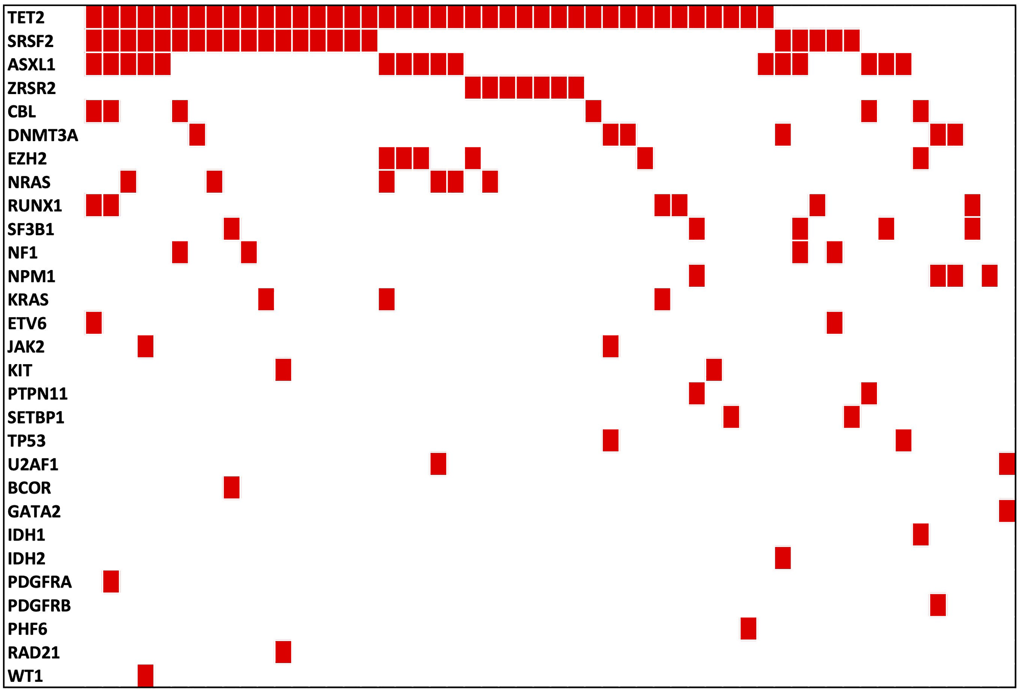 Figure 2: Gene mutation distribution in Hispanic CMML patients from Puerto Rico.