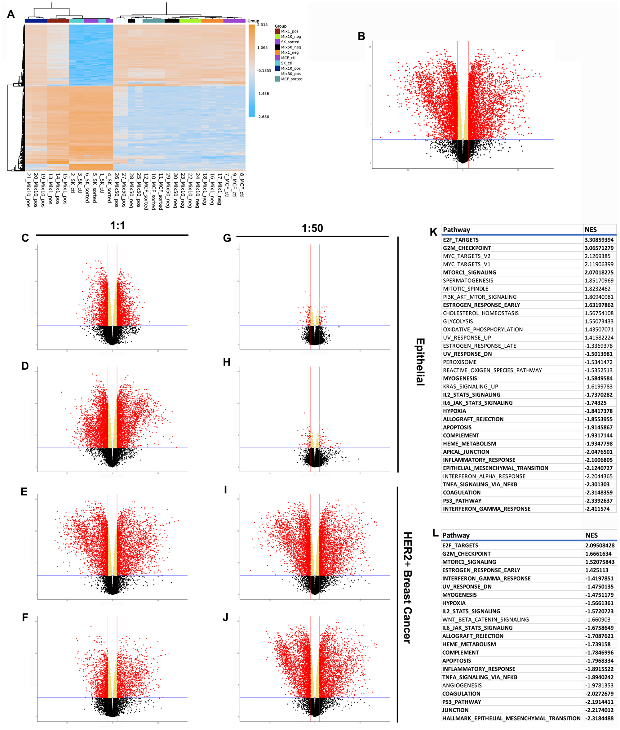 Figure 4: RNAseq results demonstrating differences between normal, cancer, and redirected cells.