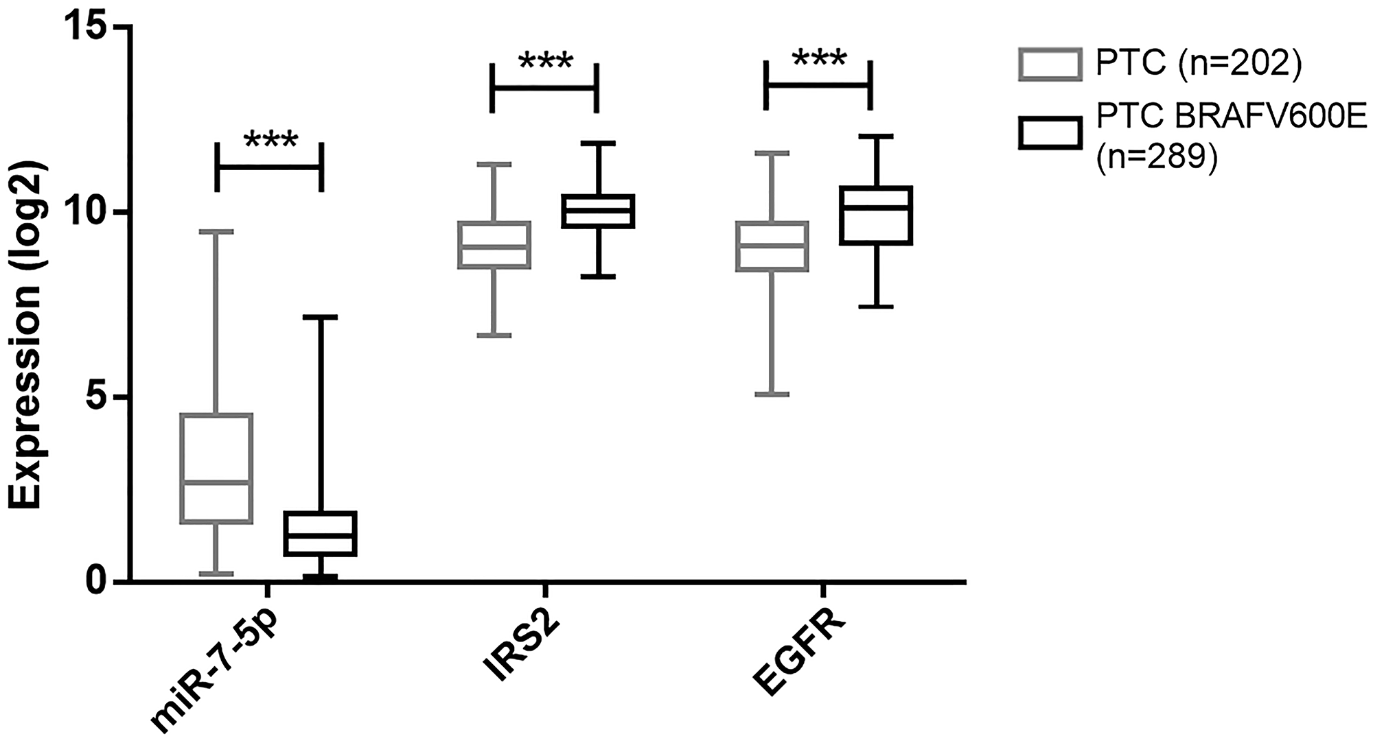 Figure 8: Dereregulation of miR-7-5p, IRS2 and EGFR according to PTC aggressivity.