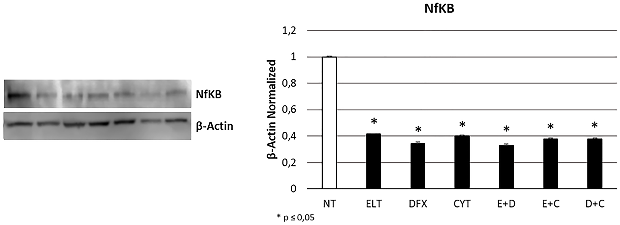 Figure 5: Effect of 48-hour treatments on proliferation.