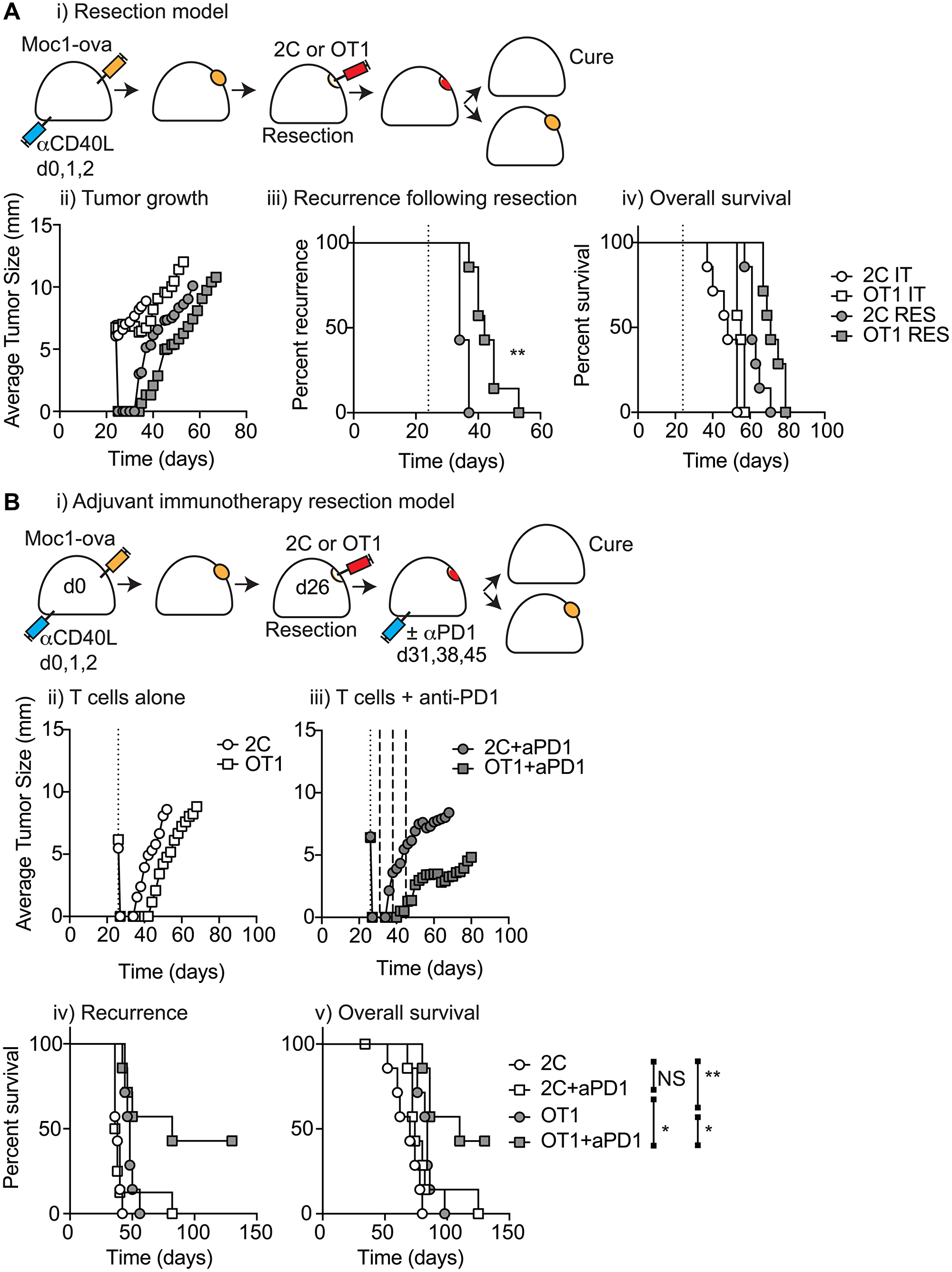 Figure 5: T-cell biomaterial control of recurrence following surgical resection.