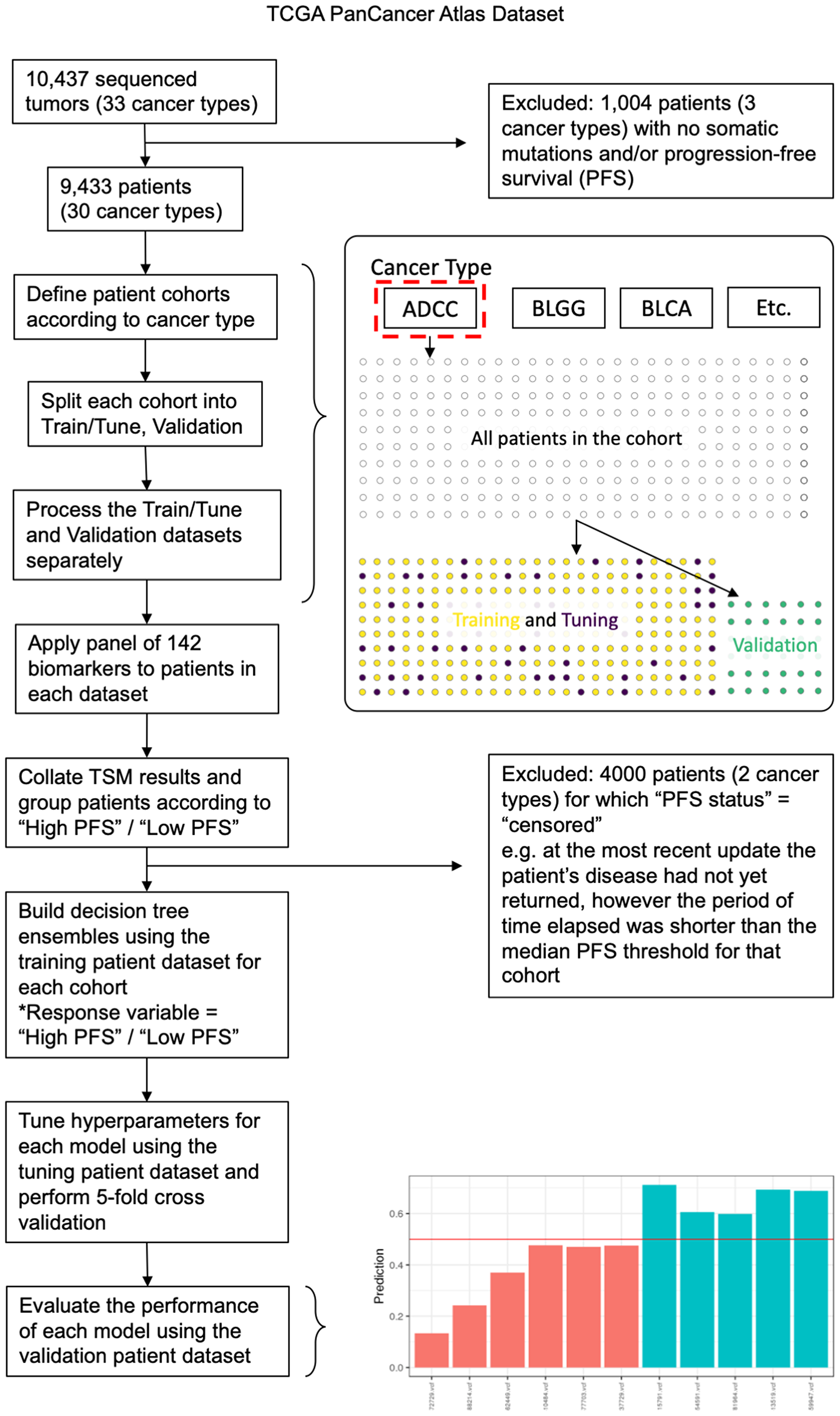 Figure 5: Data analysis pipeline outlining key data processing, machine learning analysis, and validation steps used in the study.