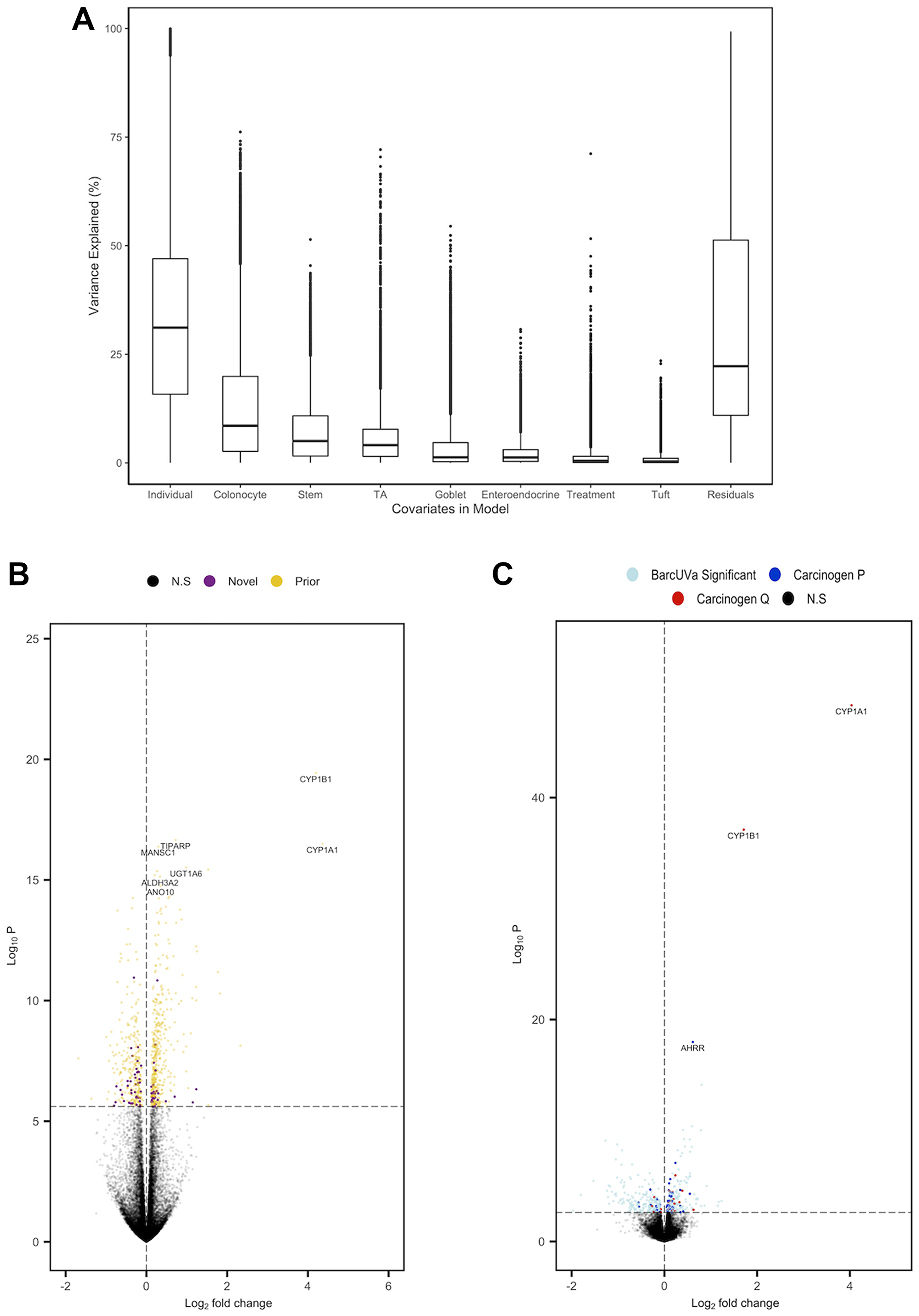 Figure 2: Summary of analysis of carcinogen exposure of organoids following adjustment for cell composition.