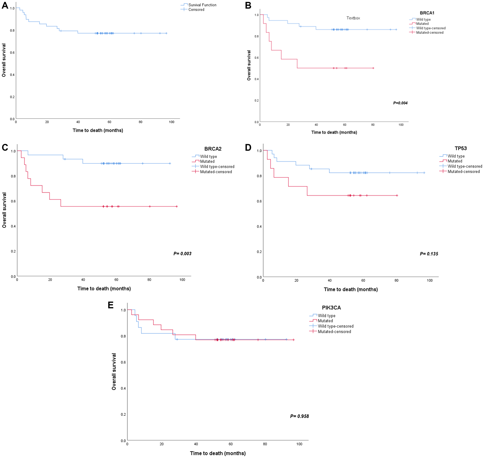 Figure 2: Survival plots for major gene mutations.