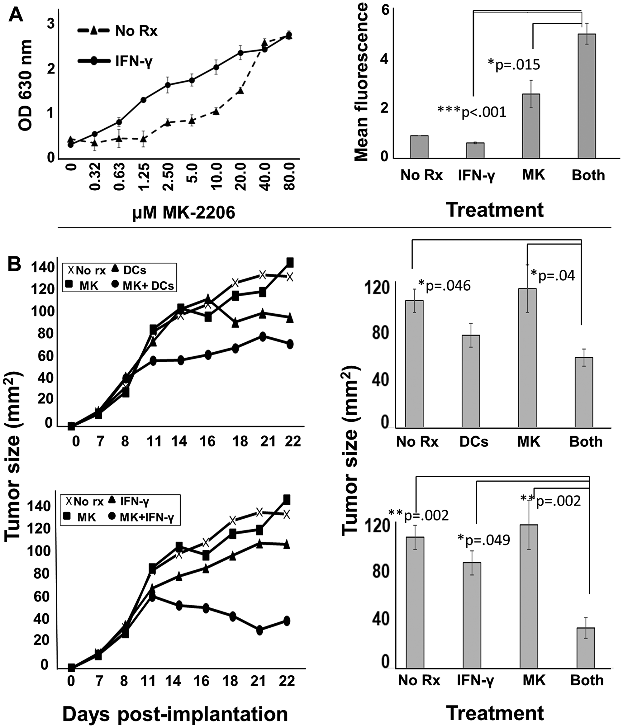 Figure 8: MK-2206 in conjunction with immunotherapy slows progression of rodent HER-2<sup>pos</sup> tumors.