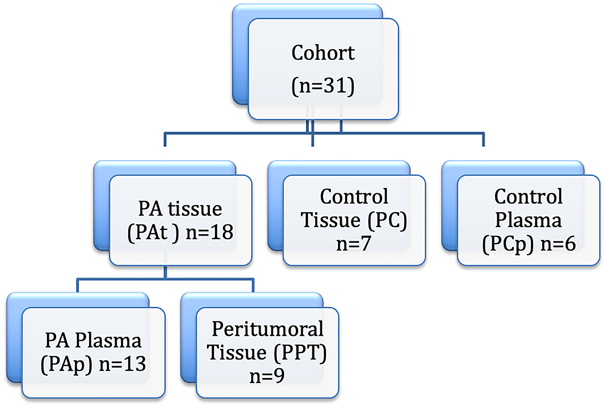 Figure 6: Study design