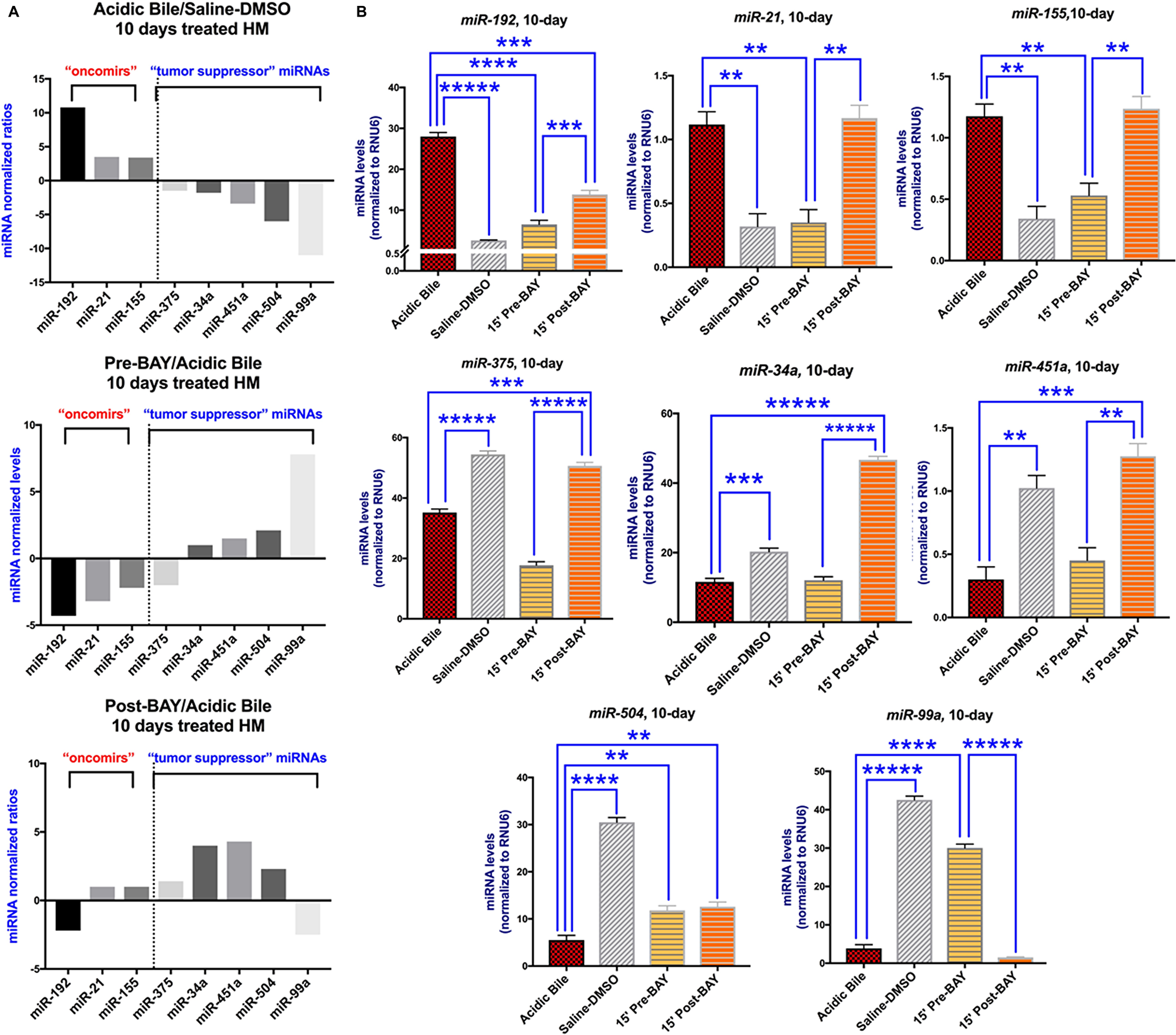 Figure 4: The  in vivo pre- or post- topical application of BAY 11-7082 prevents the acidic bile-induced deregulation of cancer-related miRNA markers in 10-day exposed murine HM.