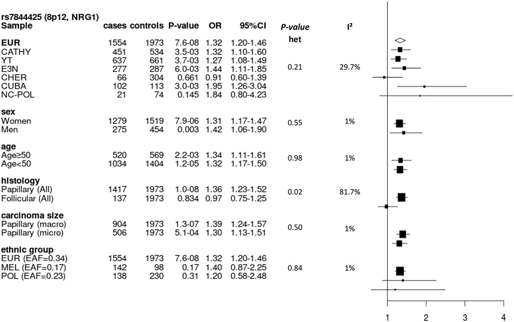 Figure 4: Forest plot of subgroup analyses for rs7844425 stratifying on study, sex, age group, histology and size of carcinoma in Europeans, and stratifying on population group in the entire dataset.