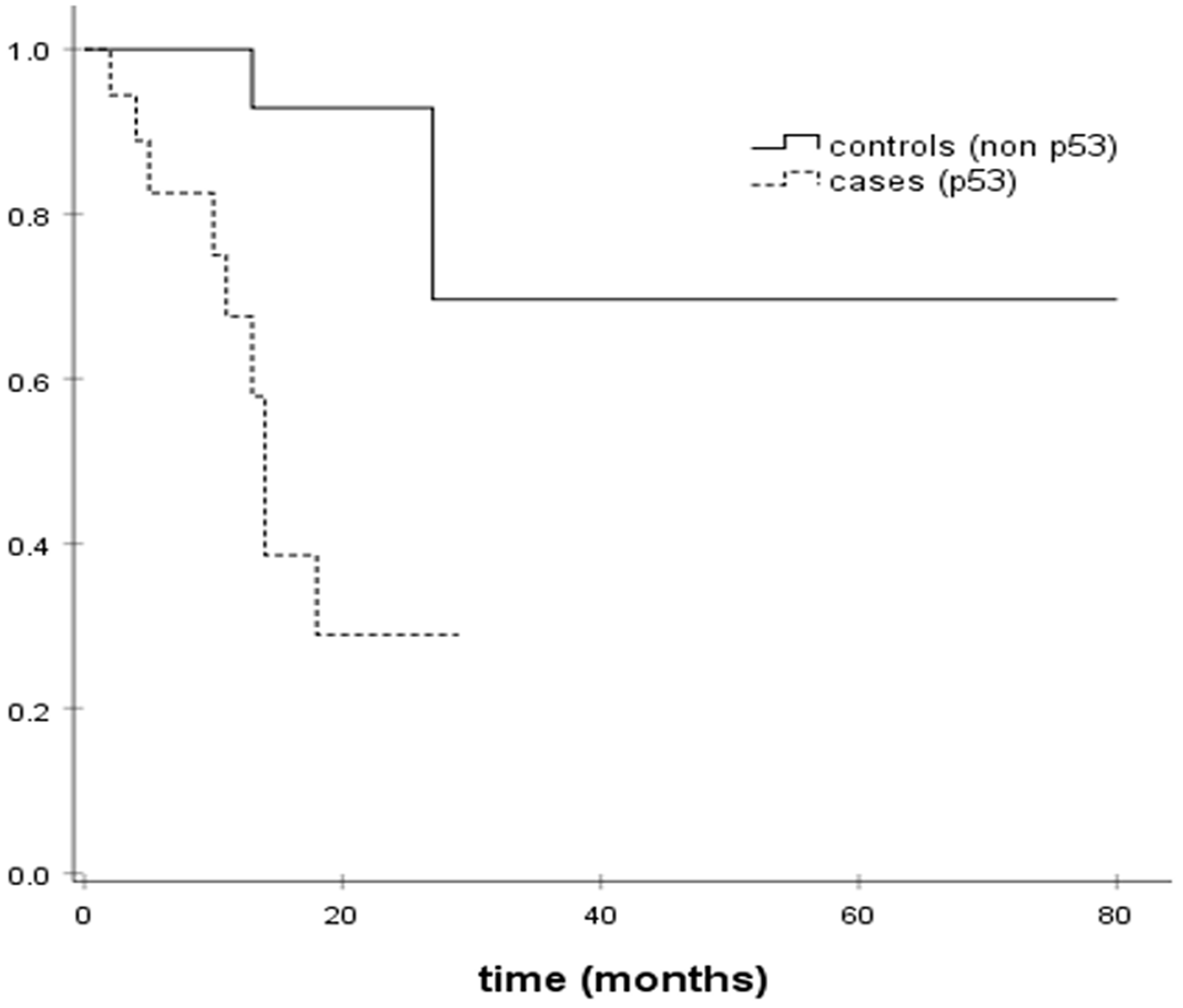 Figure 1: Kaplan–Meier DFS estimates.