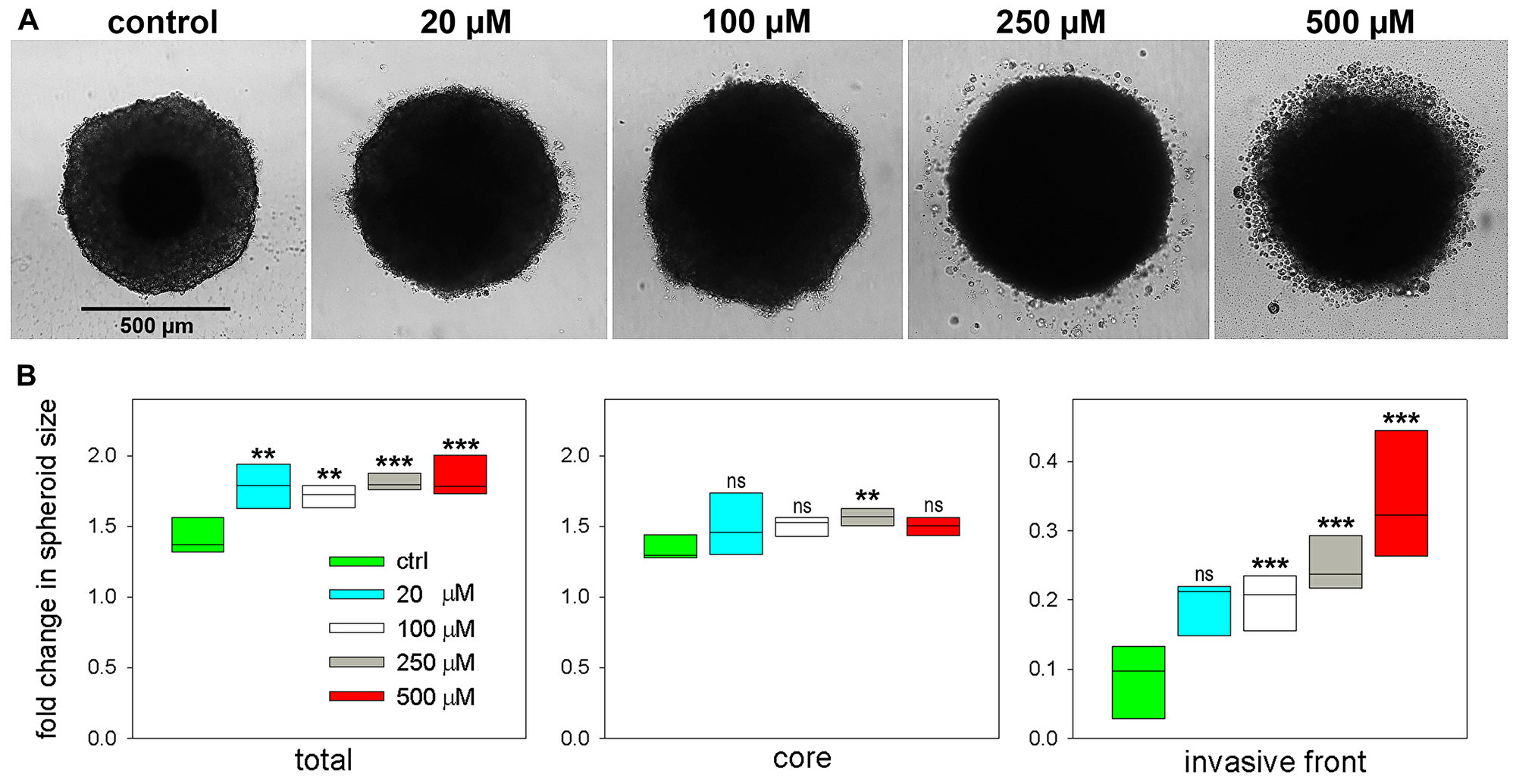 Figure 9: Effect of palmitoyl-lysophosphatidylcholine LPC[16:0] on tumor spheroid invasion and growth.