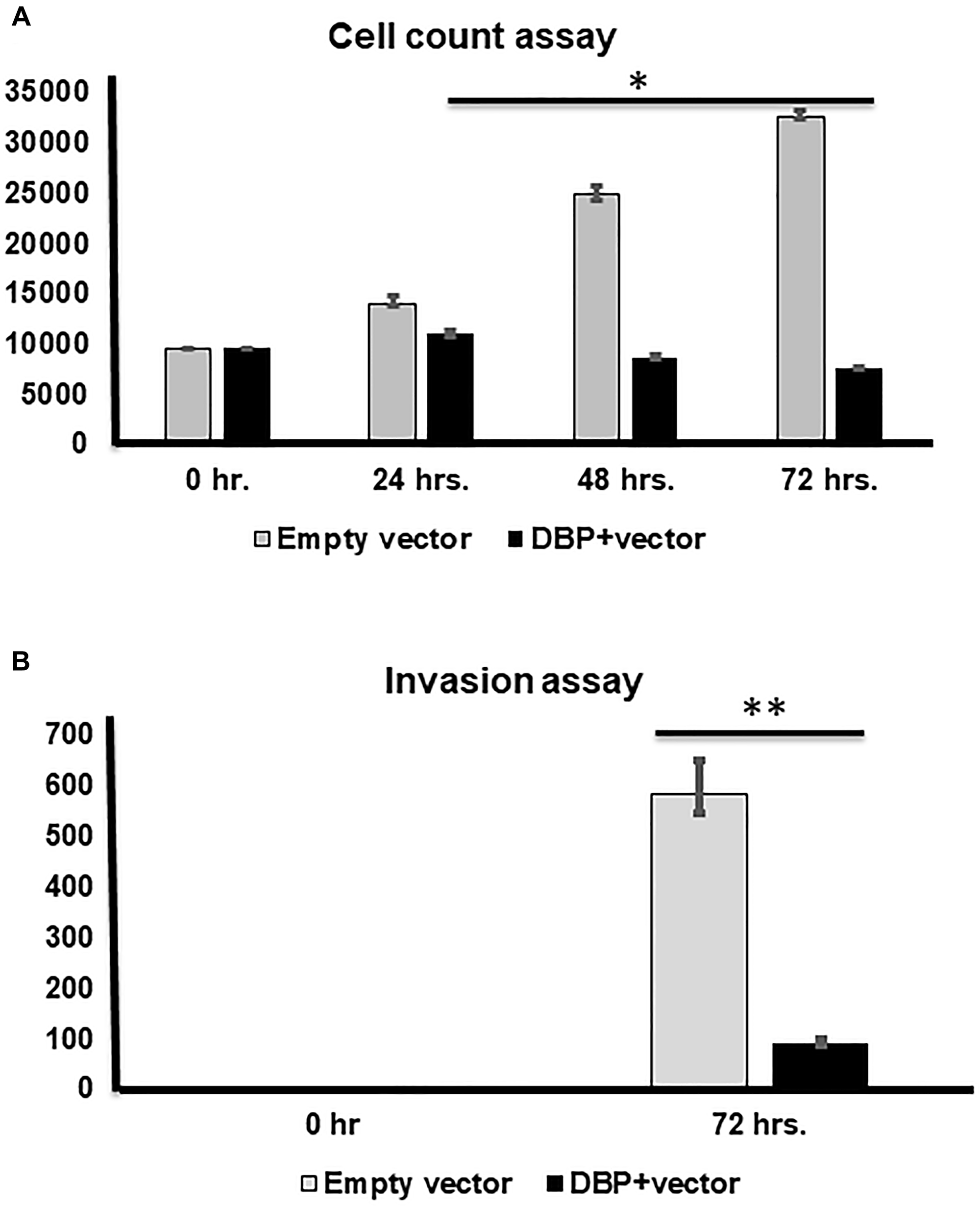 Figure 5: Cell counting and invasion assays after DBP-upregulation.