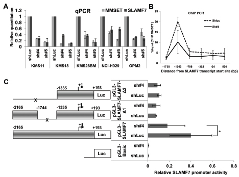 MMSET regulated the transcription level of SLAMF7 gene.