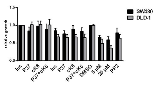 FIGURE 6 : Influence of SRC inhibition on the proliferation capacity of CRC cells.