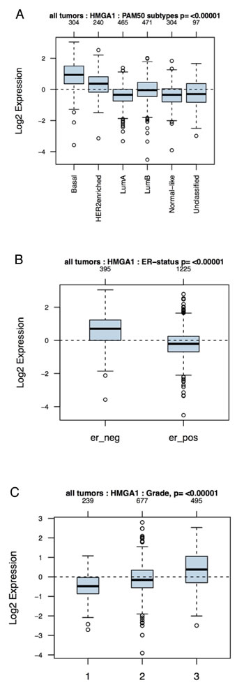 Association of HMGA1 mRNA Levels with Subtype and Tumour Grade in Human Breast Cancers.