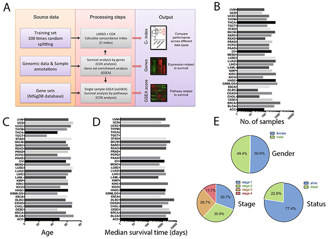 Overview of the computational approach and patient characteristics.