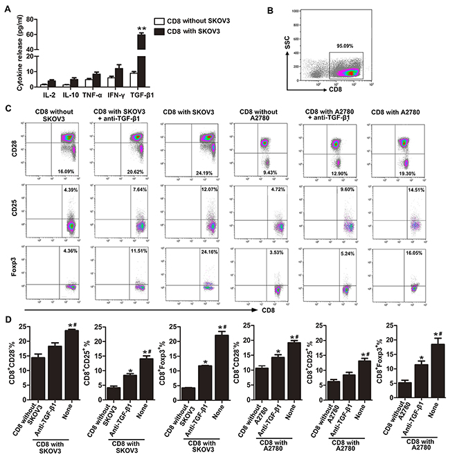Neutralization of TGF-&#x03B2;1 partially counteracts induction of CD8+ Tregs in OC microenvironment.