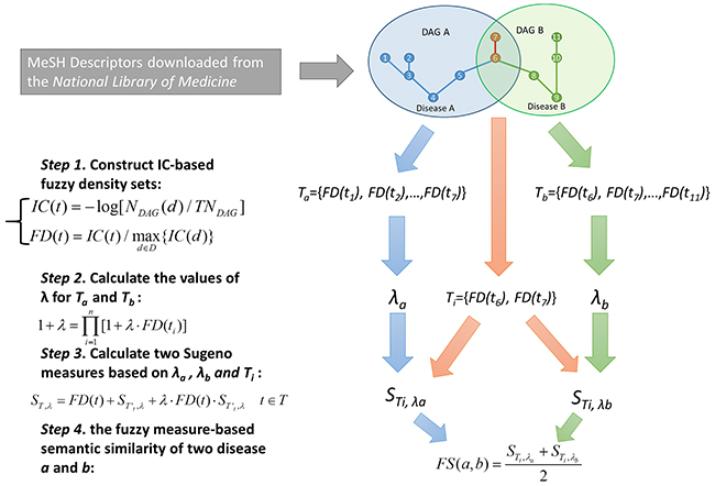 Flowchart of disease semantic similarity calculation in FMLNCSIM based on disease DAGs.