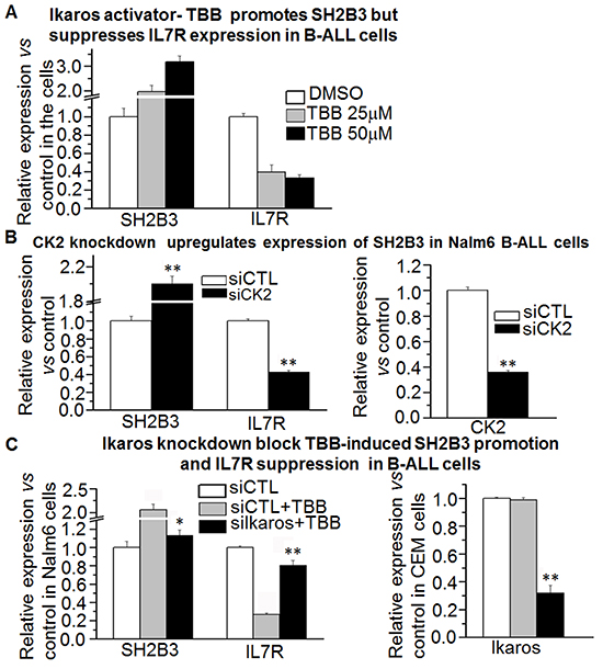 Effect of CK2 inhibitor on expression of SH2B3 and IL7R.