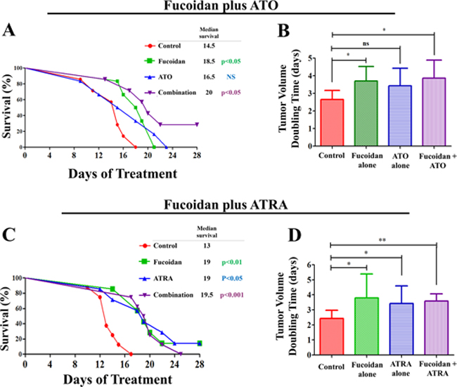 Survival analysis and tumor volume doubling time in APL bearing mice.