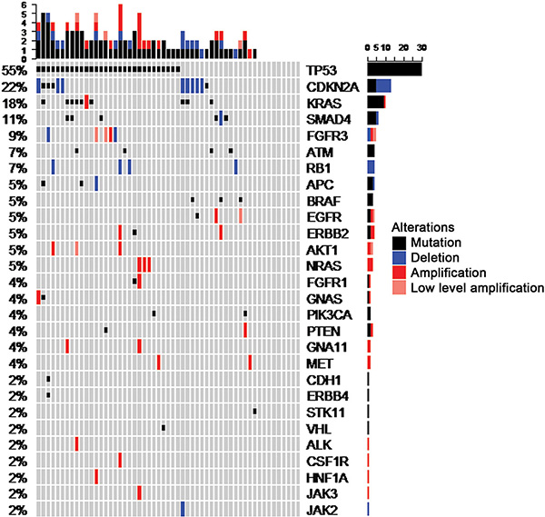 OncoPrint summarizing mutations and copy number alterations of the 55 CUP cases included in the final dataset.