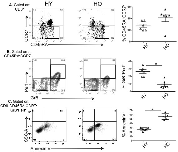 High apoptotic tendency and decline in proliferative capacity in effector memory CD8