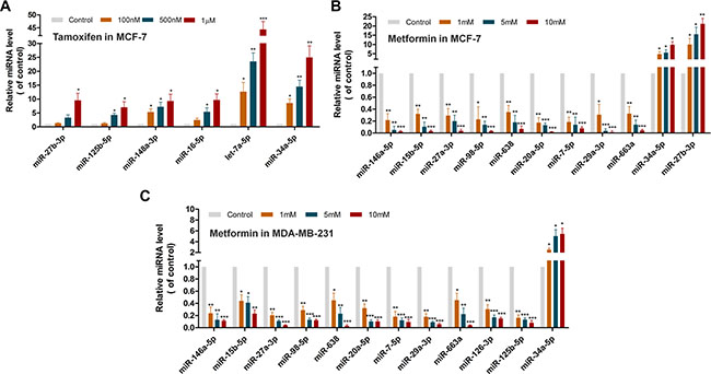 Discovery of new miRNAs mediating treatment responses for tamoxifen and metformin in MCF-7 or MDA-MB-231 cell lines via qRT-PCR assays.