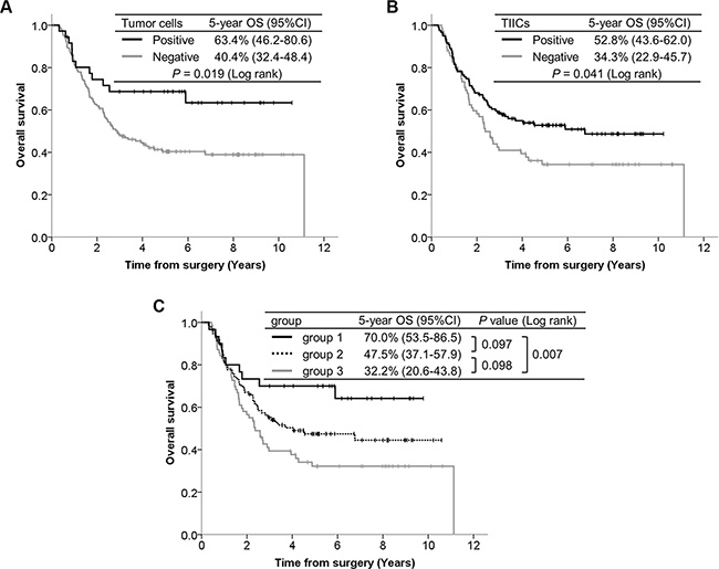 Kaplan-Meier curves according to PD-L1 expression, with 5-year survival rate and the log-rank test for OS.