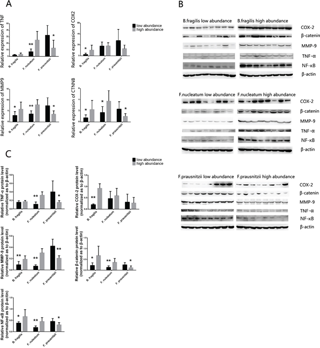 Figure 3: