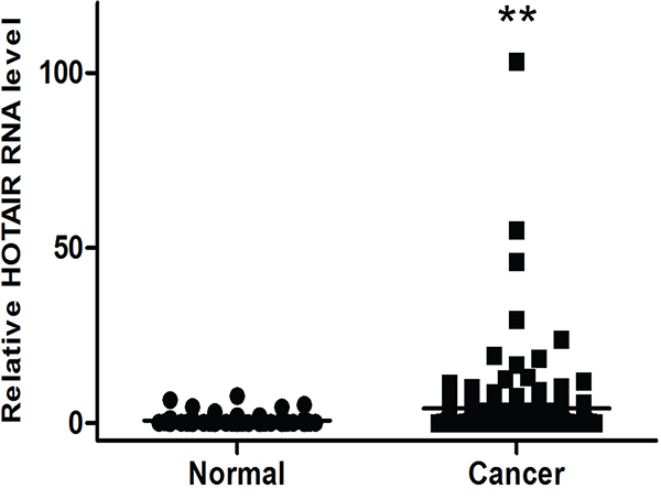 Elevated expression of HOTAIR in human cervical cancer serum.