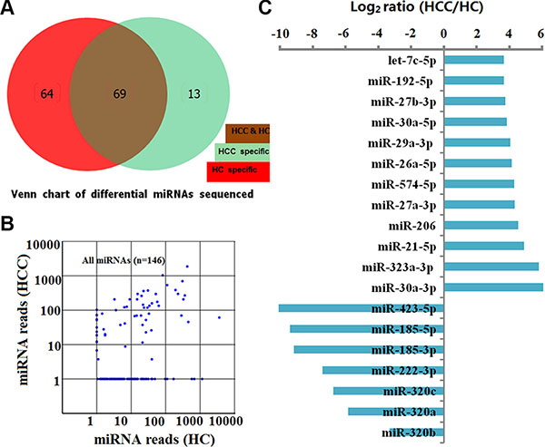 Characterization of 146 known human miRNAs screened by sequencing between HCs and HCCs in the discovery set.