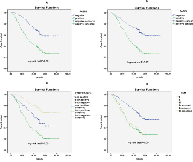 Survival curves of NSCLC patients by the Kaplan&ndash;Meier method and the log-rank test.