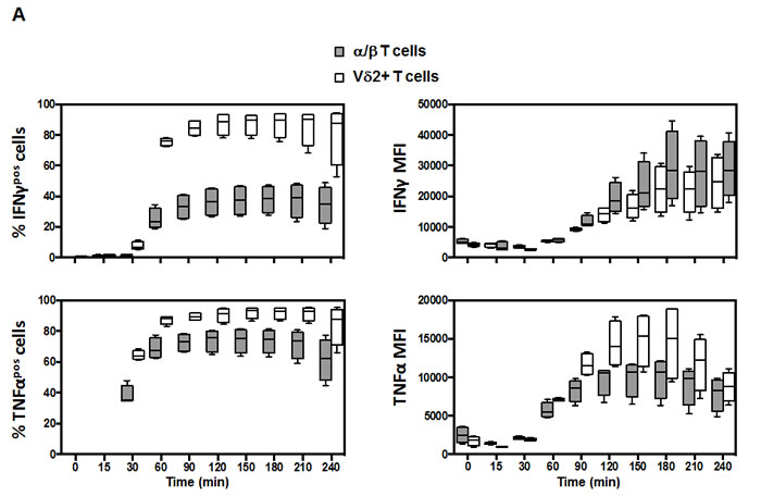 Kinetic response of V&#x3b4;2 and associated subsets.