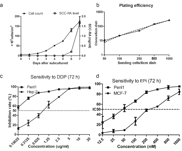 Biology of Penl1 cells.