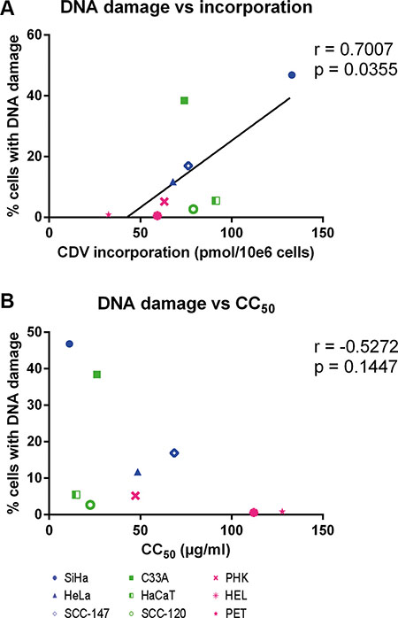 Correlation between CC50 values, DNA damage and CDV incorporation at day 3 post-treatment.