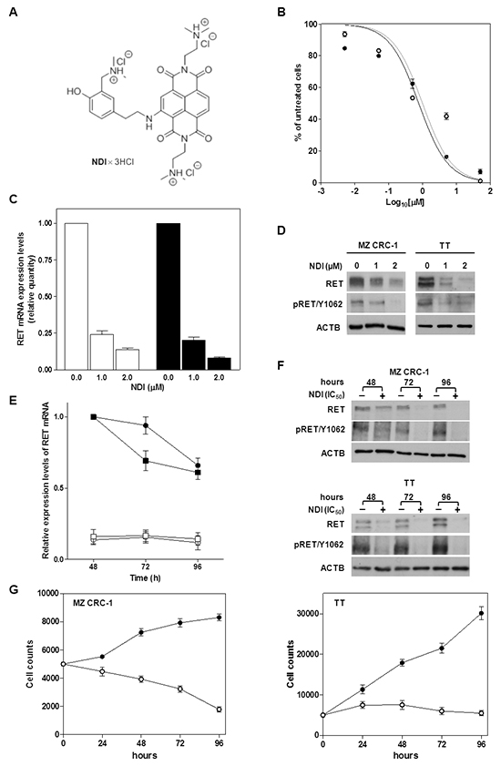 Exposure of MTC cells to the NDI derivative resulted in the impairment of cell growth and in a remarkable down-regulation of RET expression.