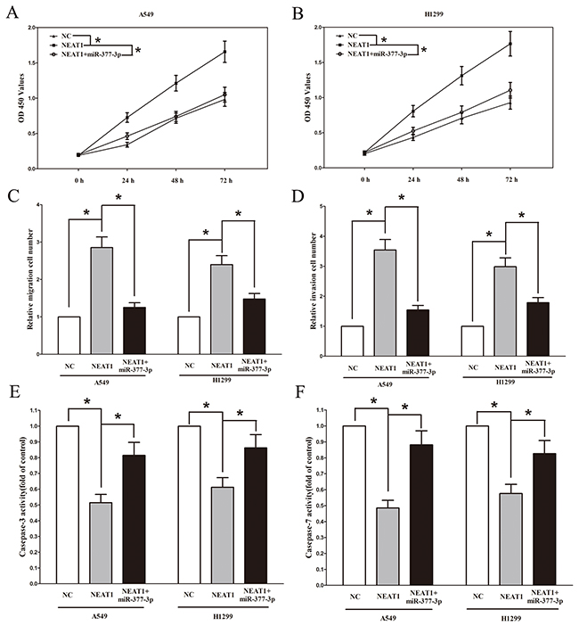 NEAT1&rsquo;s oncogenic activity is in part through negative regulation of miRNA-377-3p in NSCLC cells.