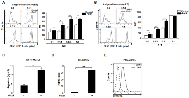 PAUF enhances immunosuppressive function of MDSCs.