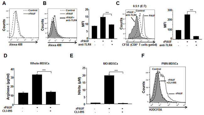 PAUF regulates MDSC immunosuppressive activity via TLR4-mediated signaling.