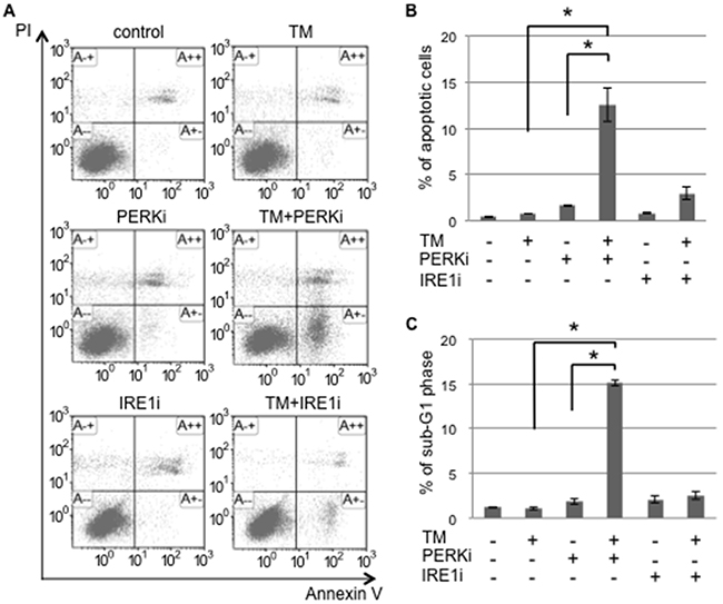 The PERK inhibitor induced tunicamycin-mediated apoptosis in cancer stem-like cells.
